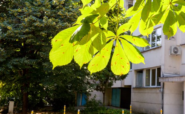 R0001221_02.jpg